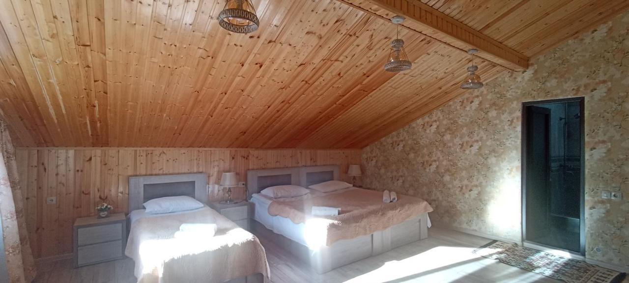 Guest House Tamta Kazbegi Εξωτερικό φωτογραφία
