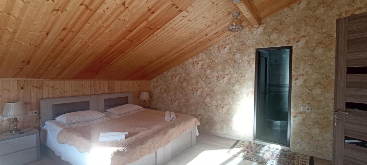 Guest House Tamta Kazbegi Εξωτερικό φωτογραφία
