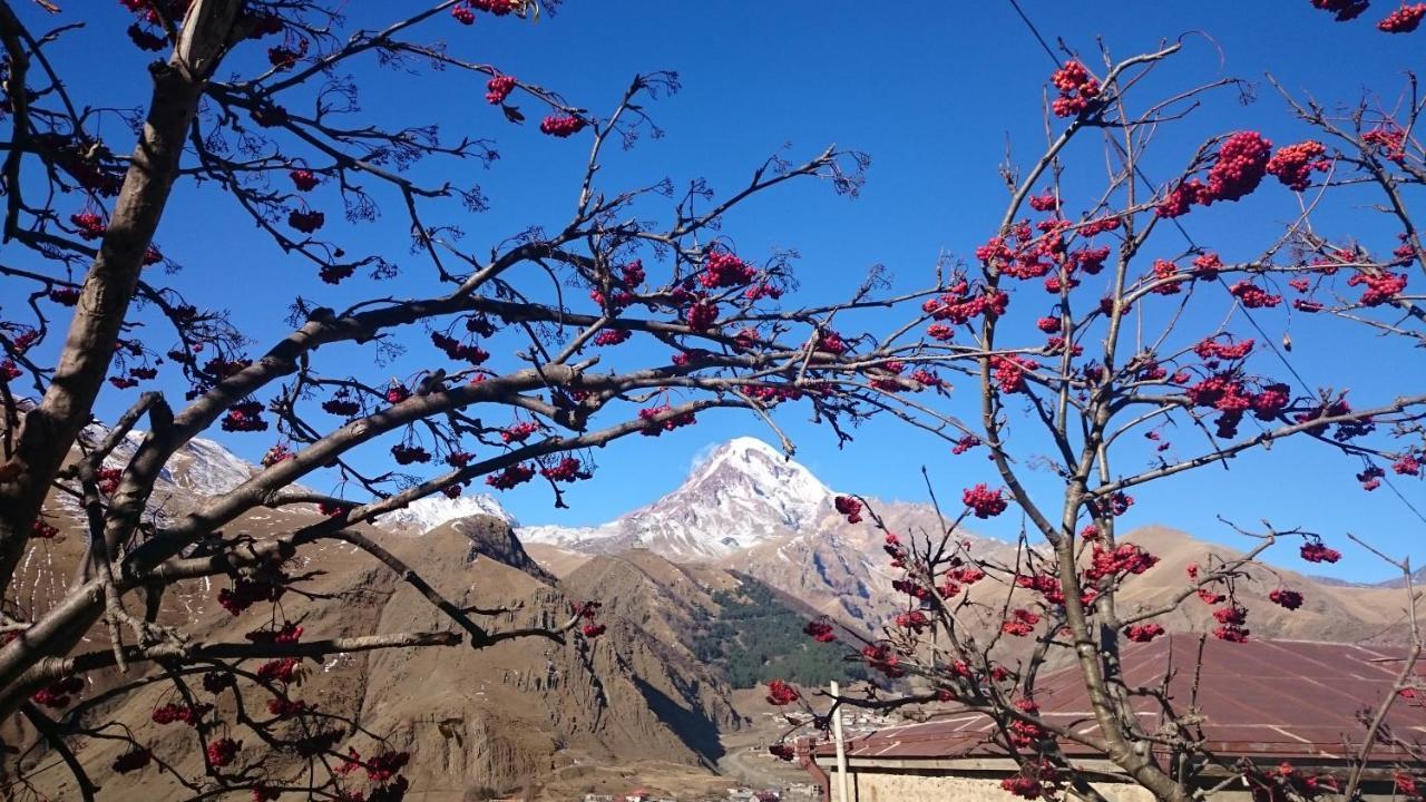 Guest House Tamta Kazbegi Εξωτερικό φωτογραφία